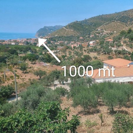 Tenuta Marga Agnone Cilento Eksteriør bilde