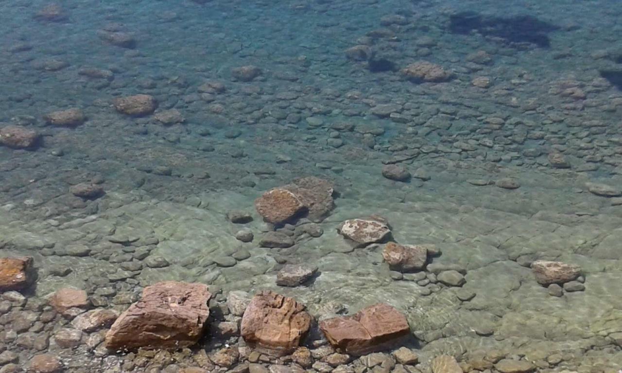Tenuta Marga Agnone Cilento Eksteriør bilde